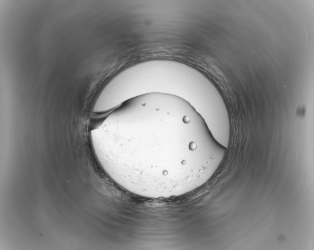 X0000093740419200711131106