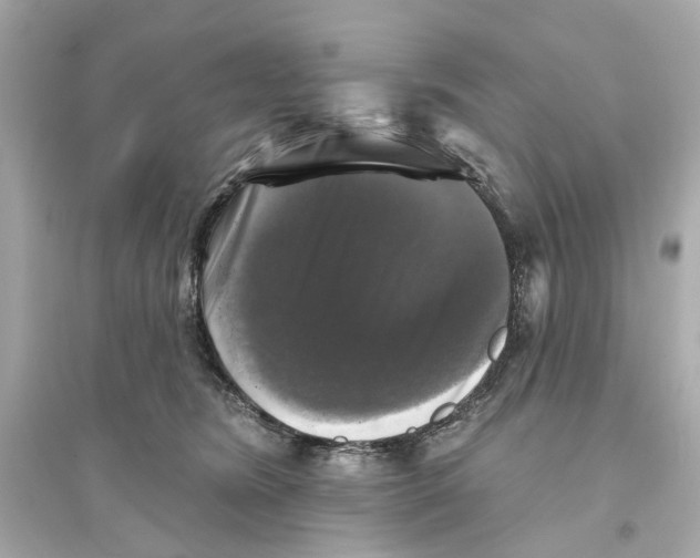 X0000093740420200711131106