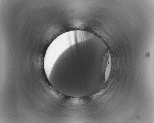 X0000093740424200711131106