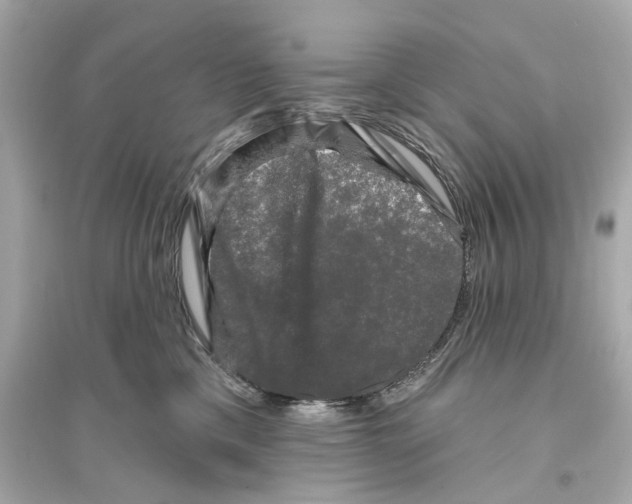 X0000093740425200711131106