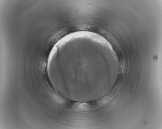 X0000093740427200711131106