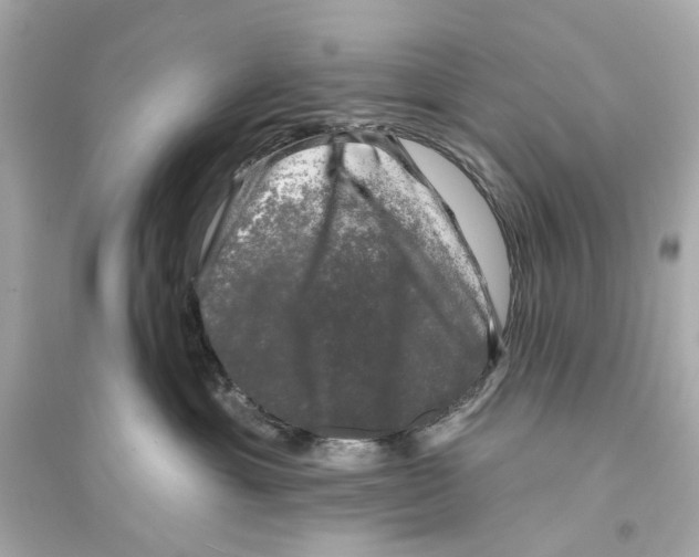 X0000093740429200711131106