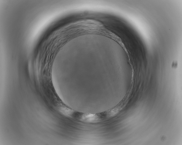 X0000093740431200711131106