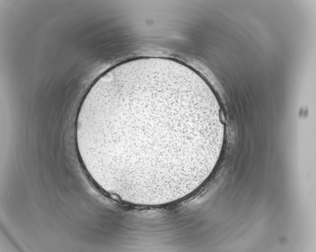 X0000093740433200711131105