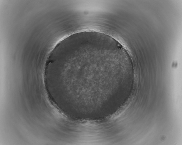 X0000093740434200711131105