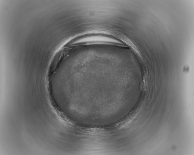 X0000093740436200711131105