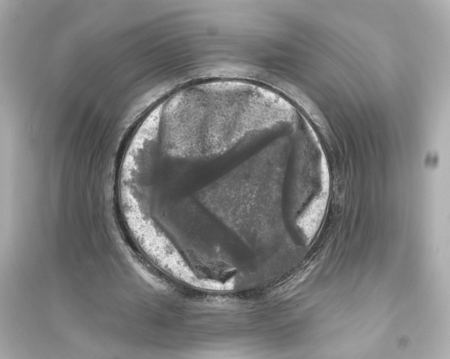 X0000093740437200711131105