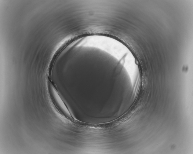 X0000093740438200711131105