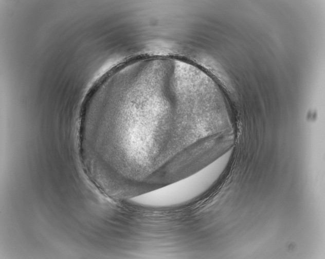 X0000093740440200711131105