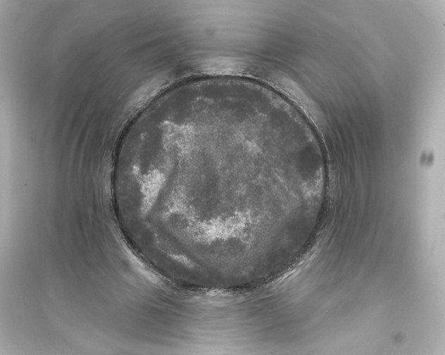 X0000093740441200711131105