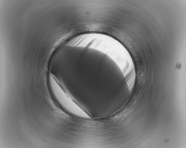 X0000093740442200711131105
