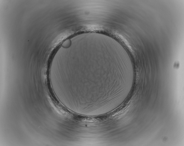 X0000093740443200711131105