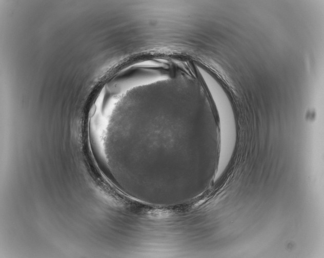 X0000093740444200711131105