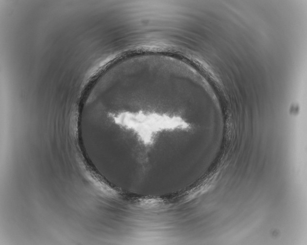 X0000093740446200711131105