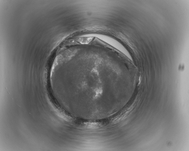 X0000093740448200711131105