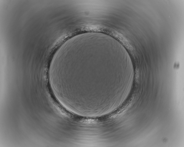 X0000093740449200711131105