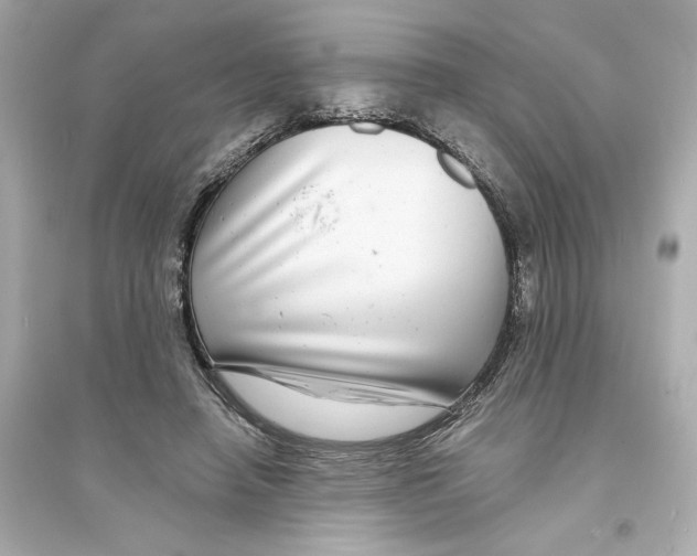 X0000093740450200711131105