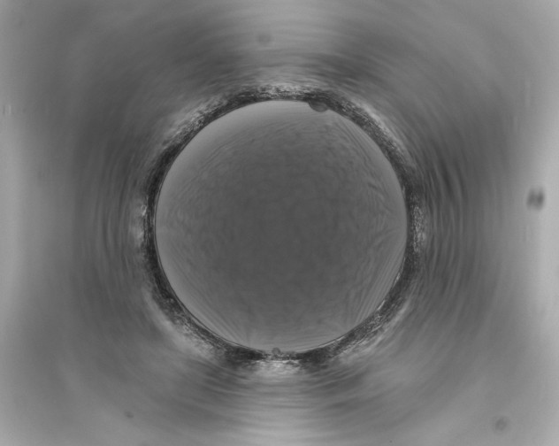 X0000093740451200711131105