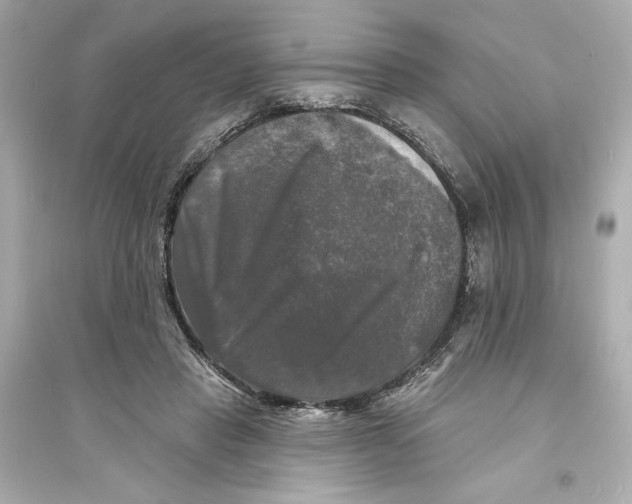 X0000093740453200711131105