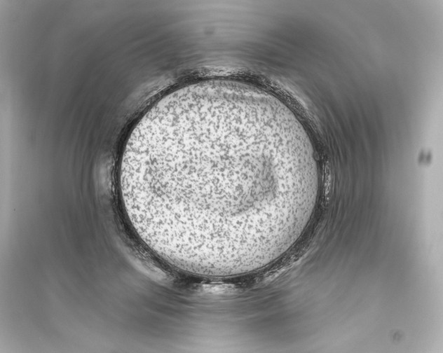 X0000093740455200711131105