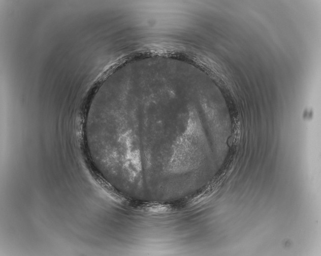 X0000093740456200711131105