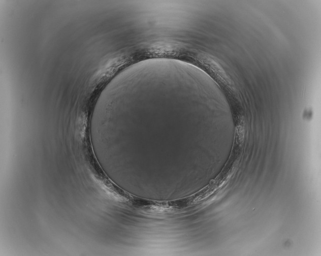 X0000093740458200711131105
