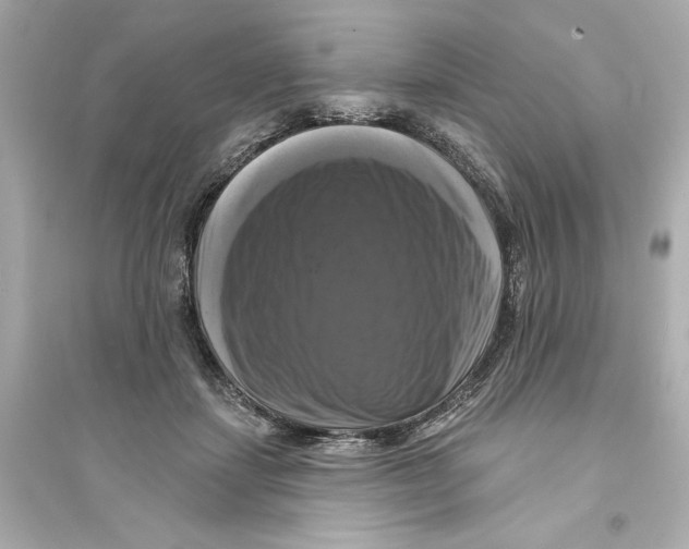 X0000093740459200711131105