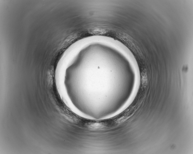X0000093740460200711131106