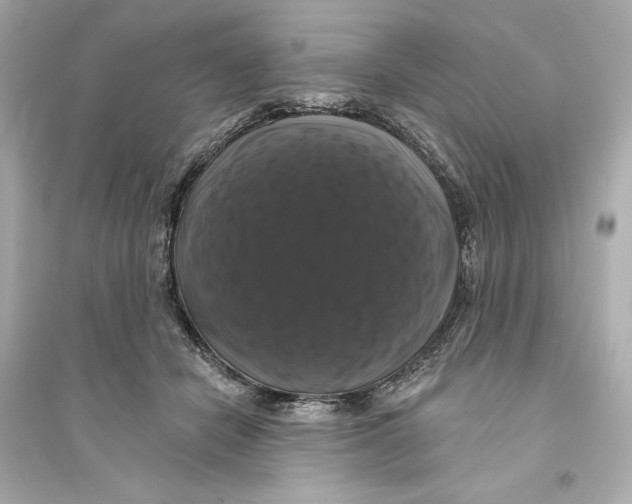 X0000093740462200711131106