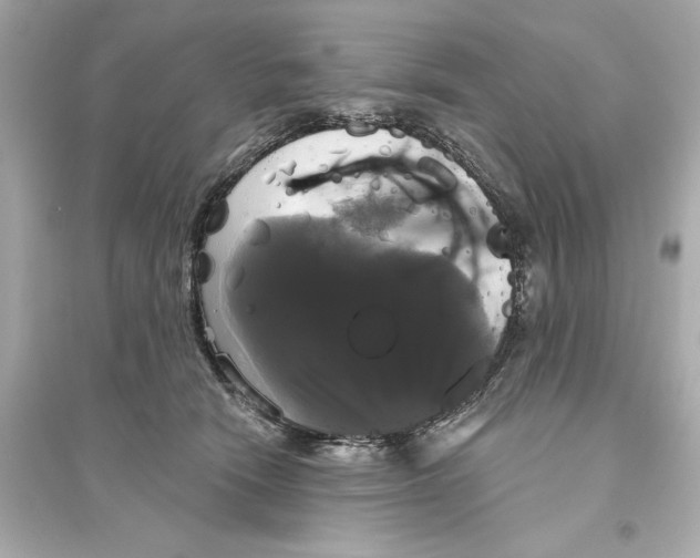 X0000093740466200711131106