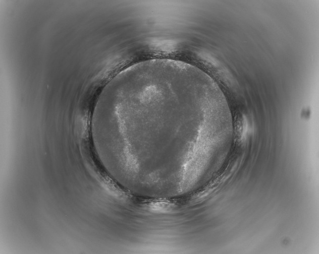 X0000093740468200711131106