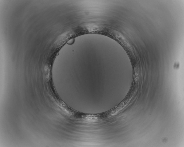 X0000093740471200711131106
