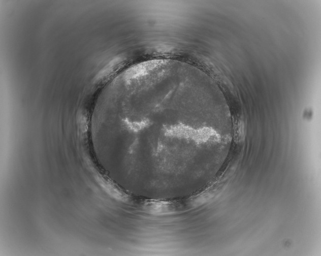 X0000093740472200711131106