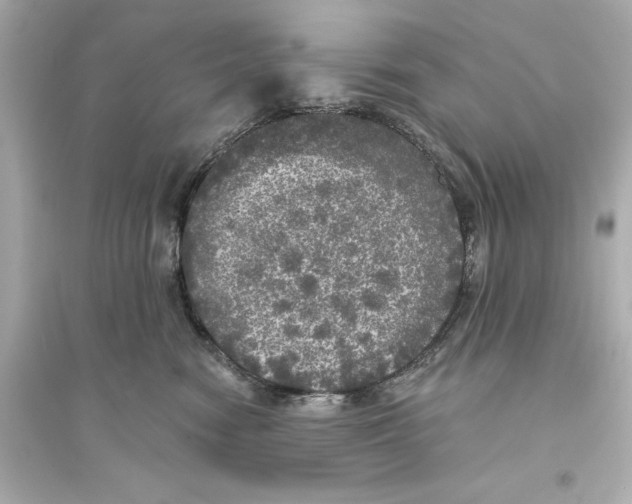 X0000093740474200711131106