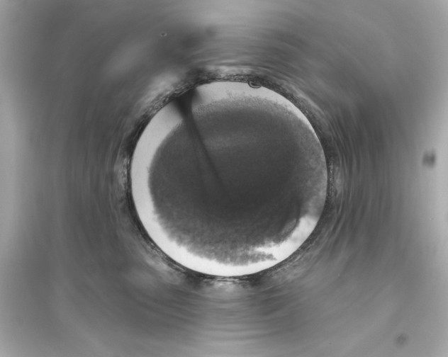 X0000093740475200711131106