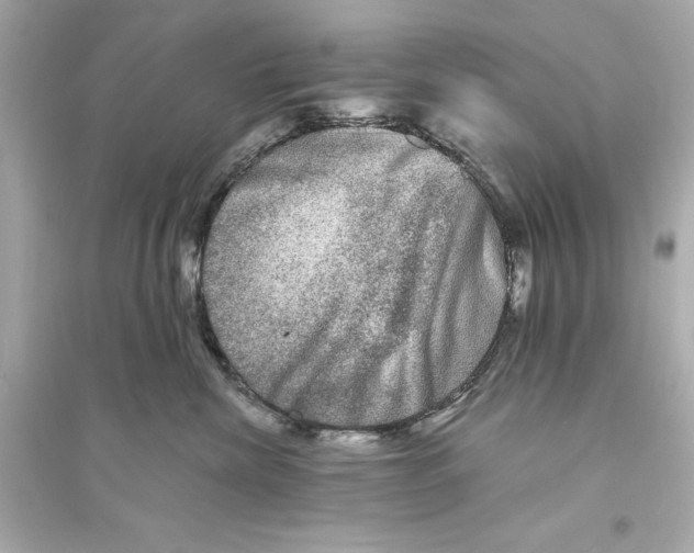 X0000093740476200711131106
