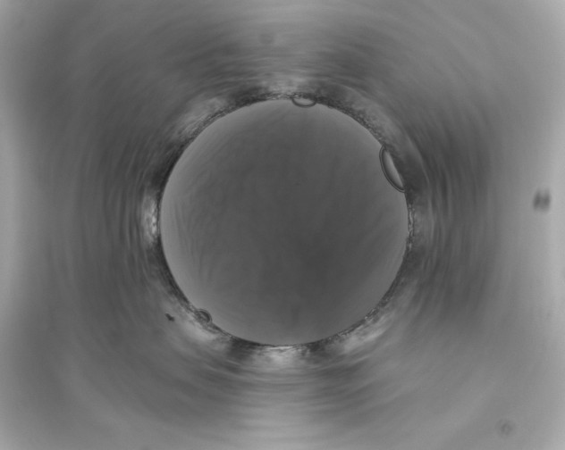 X0000093740479200711131106