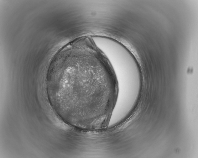 X0000093740481200711131105