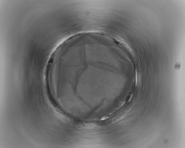 X0000093740483200711131105
