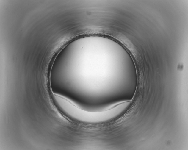 X0000093740485200711131105