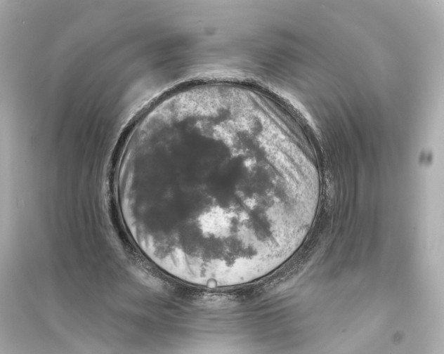 X0000093740487200711131105