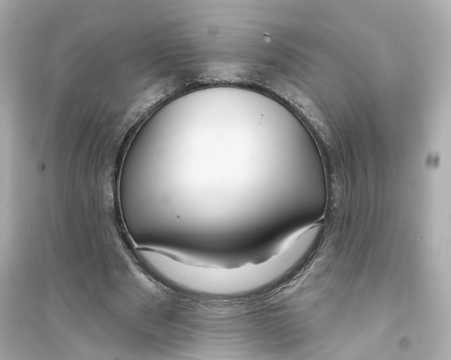X0000093740489200711131105