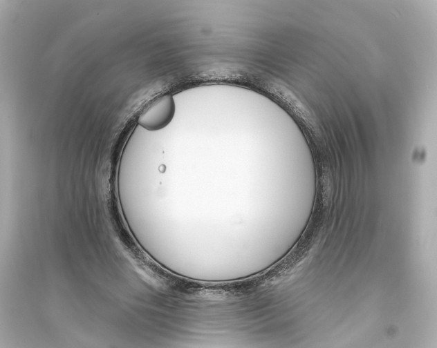 X0000093740490200711131105