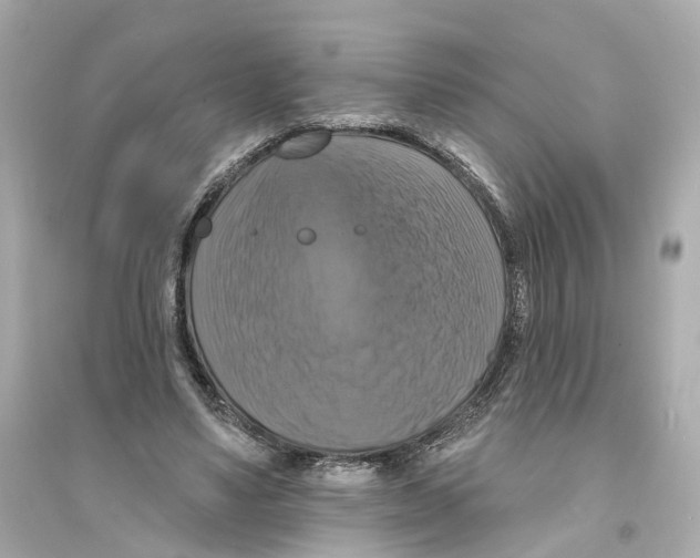 X0000093740491200711131105