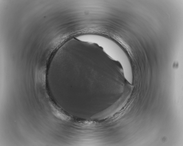 X0000093740493200711131105