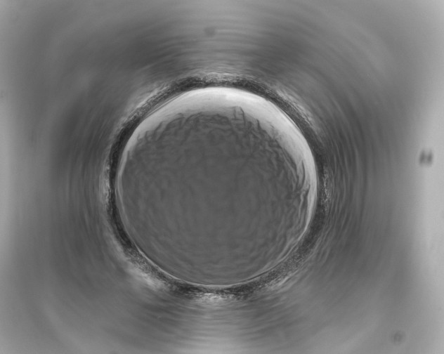 X0000093740494200711131105