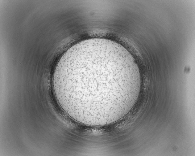 X0000093740498200711131105