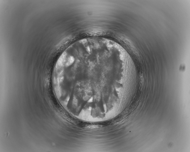 X0000093740499200711131105