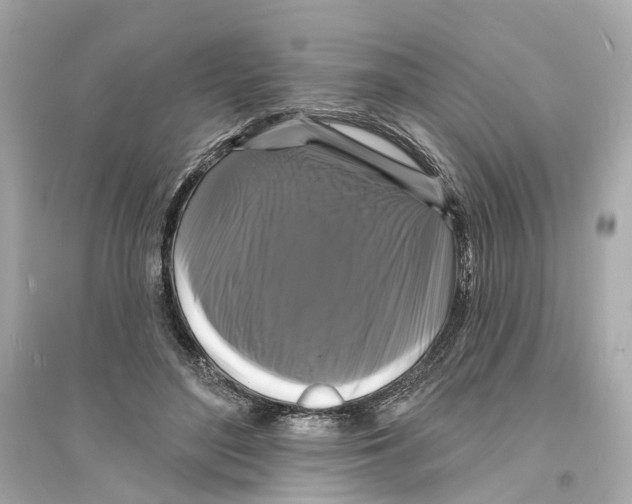 X0000093740500200711131105