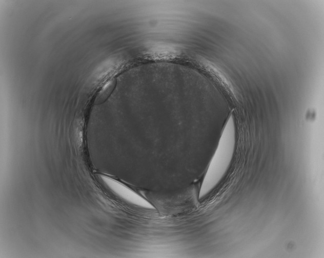 X0000093740501200711131105